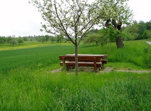 Natur pur - das Heckengäu bietet viel Raum zum Erholen.