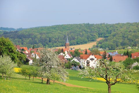 Blick auf Wimsheim durch blühende Obstbaum-Wiesen